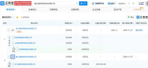 愷英網絡嘉興布局 投資成立網絡科技公司，拓展信息技術咨詢服務新賽道